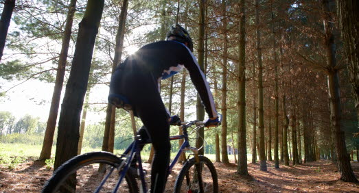 Cyklist i skogen.